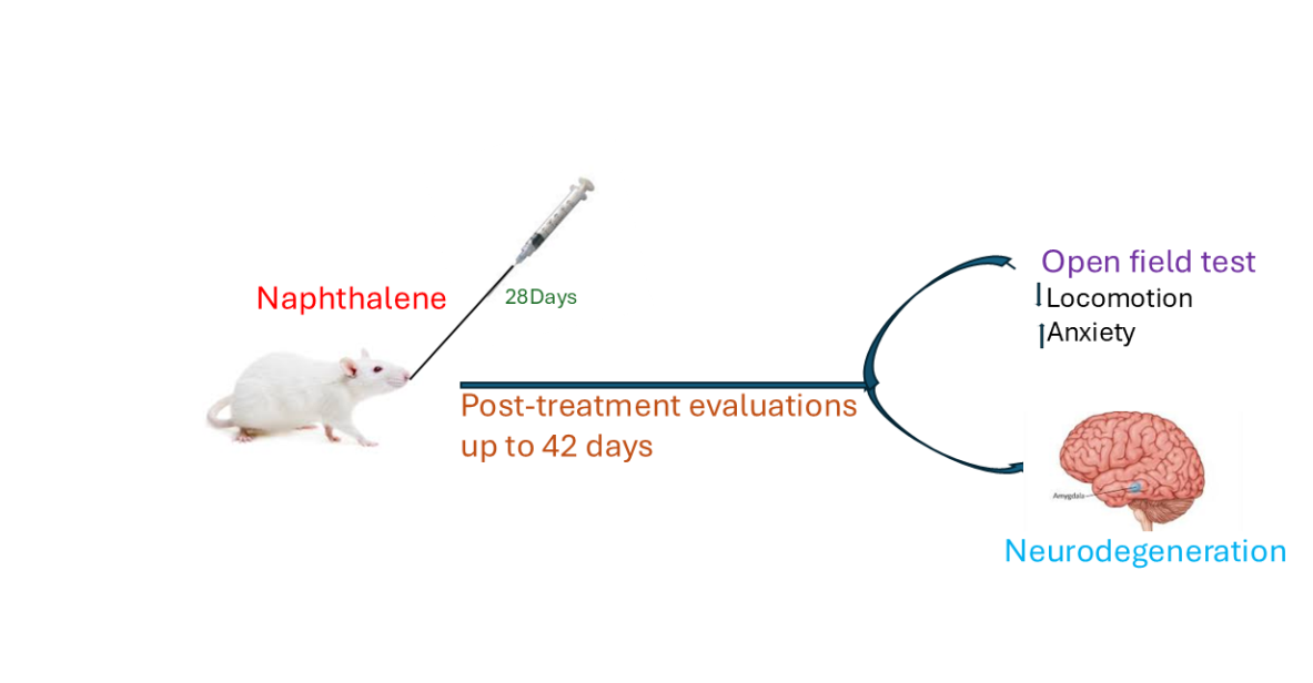 Graphical abstract